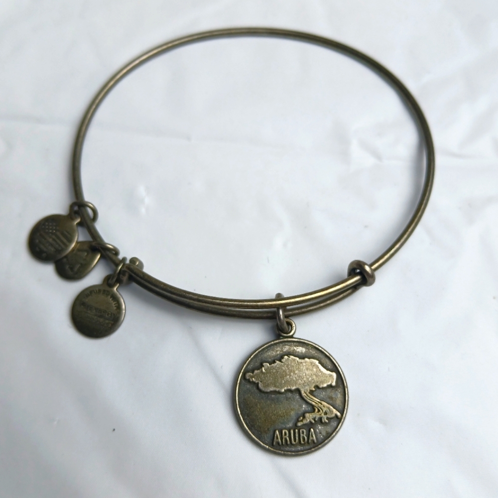 Alex and Ani 2015‎ ARUBA Charm Bangle Bracelet/Crome